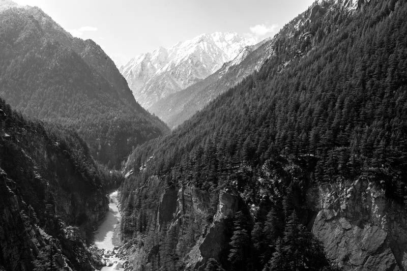 The balanced ecosystem of the Himalayas with pristine forested mountain slopes and snow-clad peaks ensuring running water in the stream in Uttarkashi district, Uttarakhand